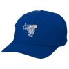 Adult Baseball Cap - Six Panel Twill Thumbnail